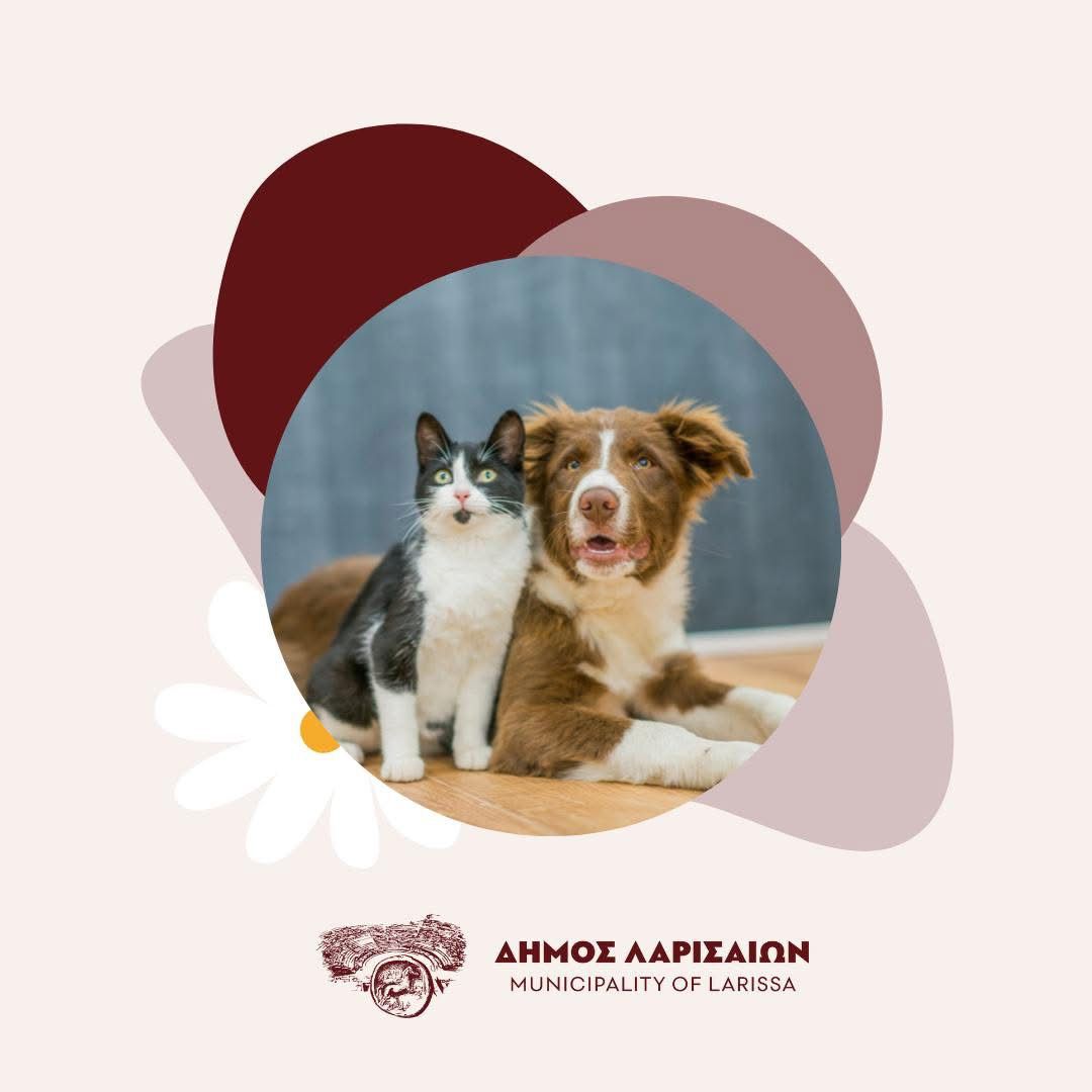 Δήμος Λαρισαίων: Ανοιχτές πύλες στο Δημοτικό Καταφύγιο για το κοινό - Δράση, αύριο, Σάββατο με αφορμή την Παγκόσμια Ημέρα Ζώων