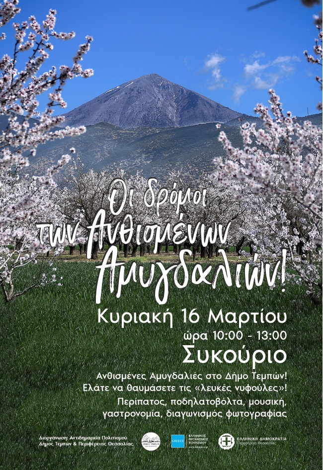 «Οι δρόμοι των ανθισμένων αμυγδαλιών στο Συκούριο»