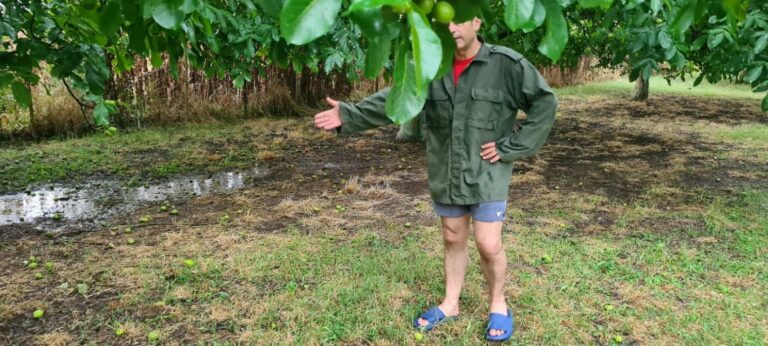 Έντονη χαλαζόπτωση έπληξε καλλιέργειες στην περιοχή της Ελασσόνας