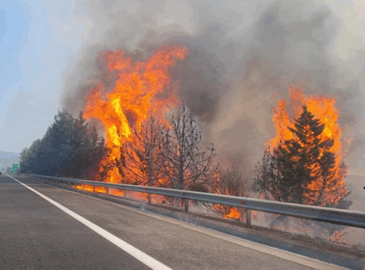 Μεγάλη κινητοποίηση της Πυροσβεστικής για φωτιά στην Εθνική οδό στο ύψος της Γυρτώνης
