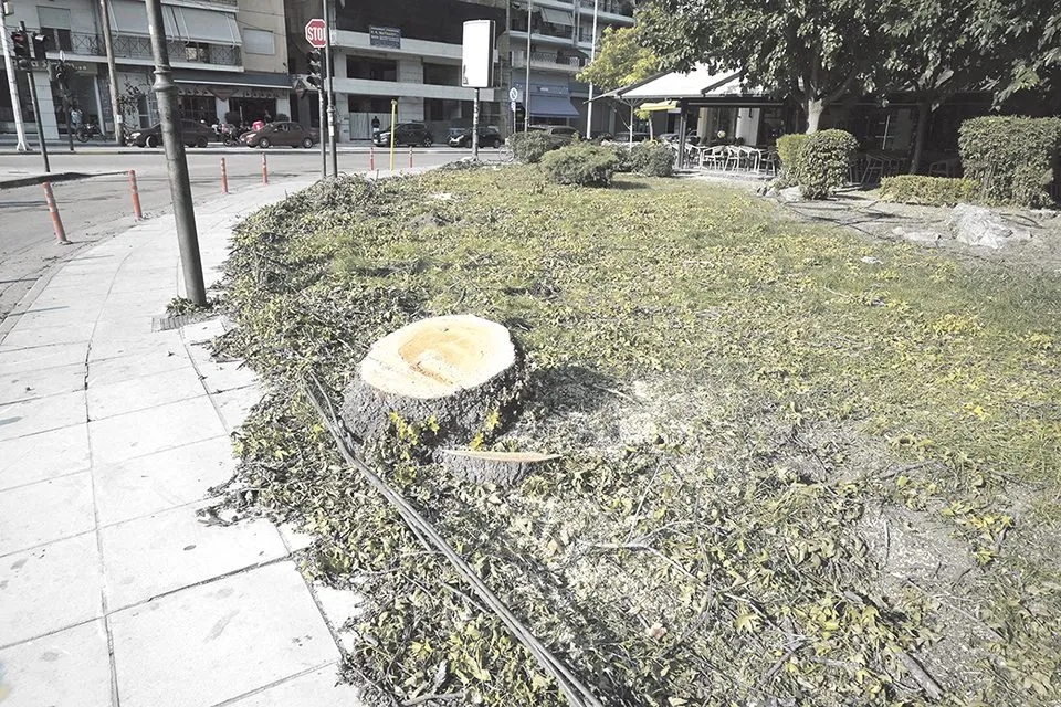 Έκοψαν δέντρα για τον κυκλικό κόμβο στη συμβολή Ηρώων Πολυτεχνείου και Φαρσάλων