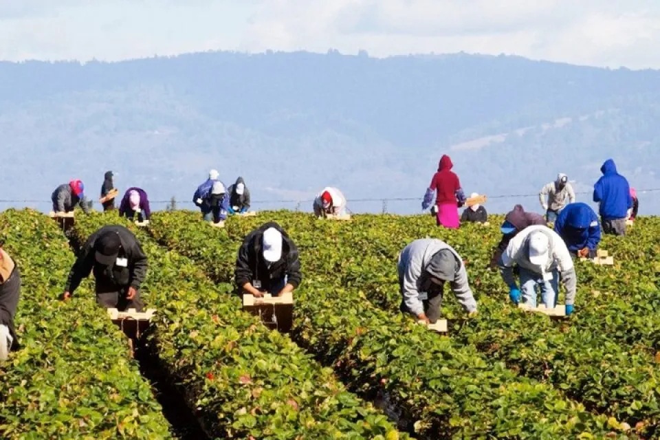 Ήρθαν στη Λάρισα για… μεροκάματο 4 ευρώ την ημέρα