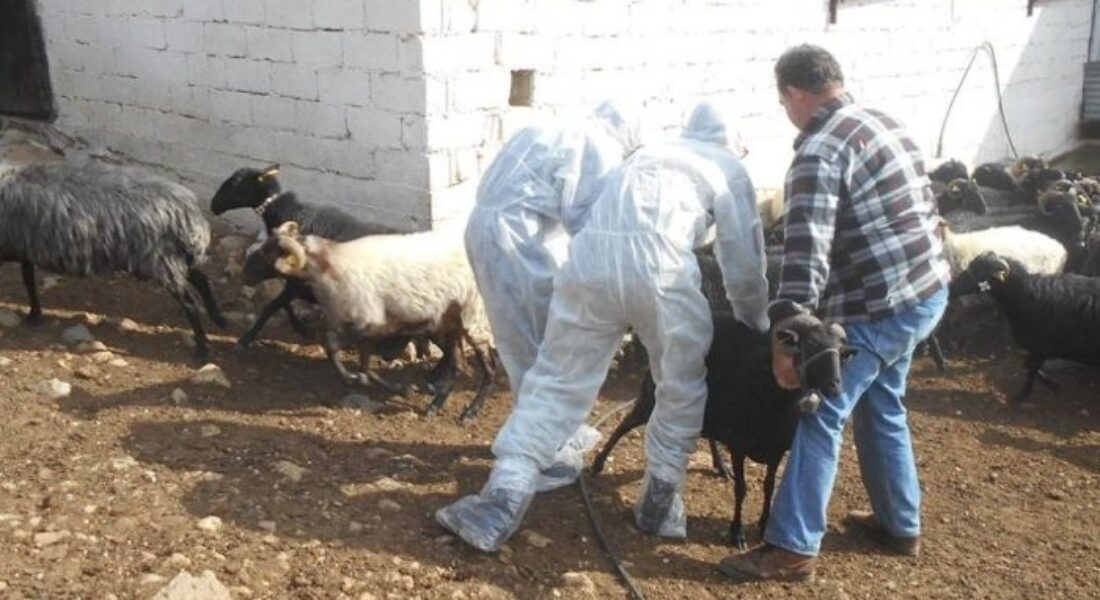 Αρνητική στην ευλογιά η Λάρισα τις τελευταίες δύο εβδομάδες