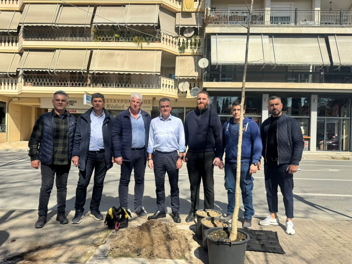 Θ.Μαμάκος: «Ενισχύουμε το πράσινο αποτύπωμα στη Λάρισα» - Πάνω από 1.300 νέα δέντρα μέχρι τέλη του 2026 σε όλη την πόλη