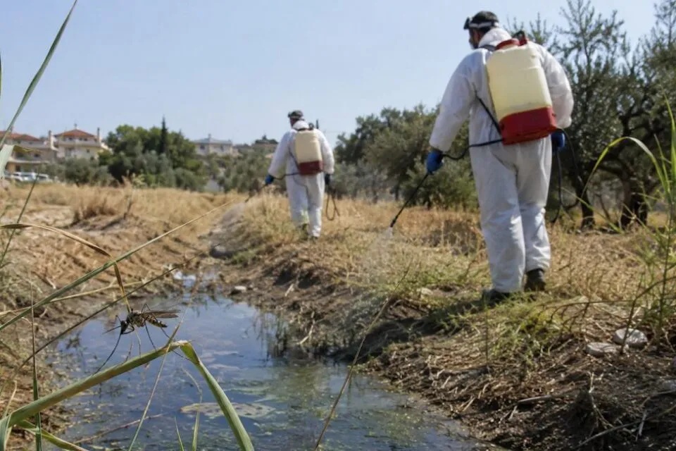 «Θερίζει» ο ιός του Δυτικού Νείλου στη Λάρισα
